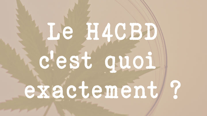 Le H4CBD c'est quoi exactement ? H4CBD CBD hydrogéné hexahydrocannabidiol