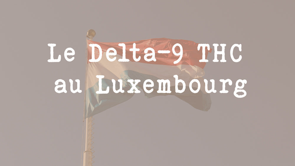 Le Delta-9 THC au Luxembourg : Ce qu’il faut savoir