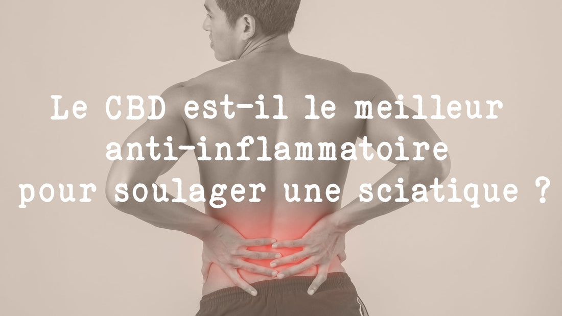 Le CBD est-il le meilleur anti-inflammatoire pour soulager une sciatique ?