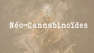 THCB, THCP, THCJD, HHCH : Découvrez les Nouveaux Héros du Cannabis