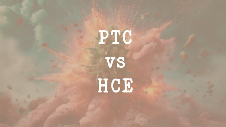 L'alternative légale du PTC pète ton crane