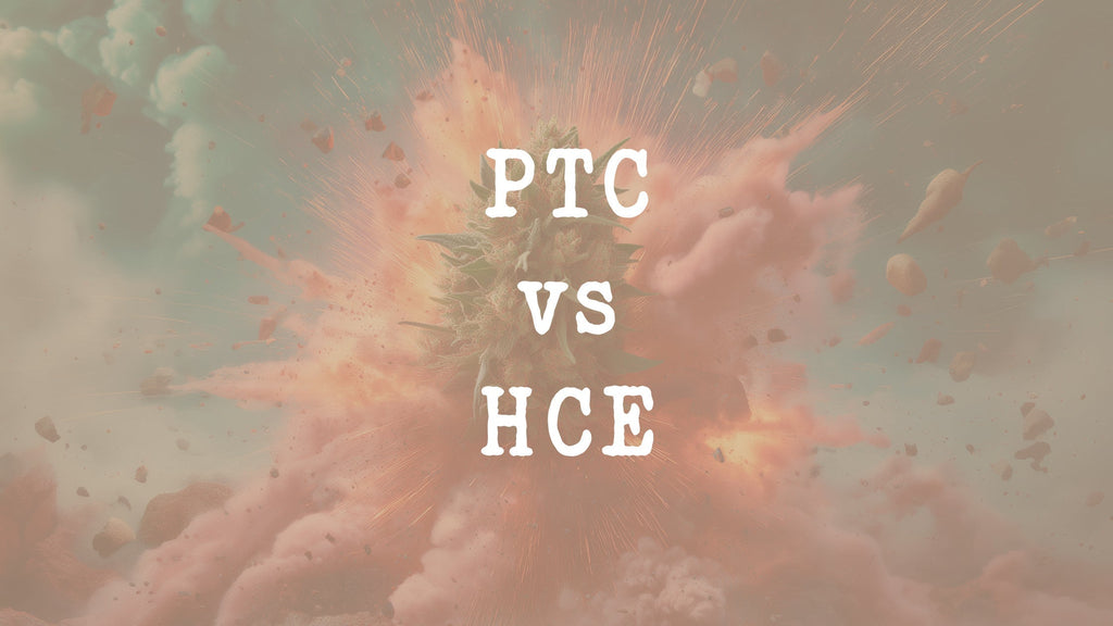 L'alternative légale du PTC pète ton crane