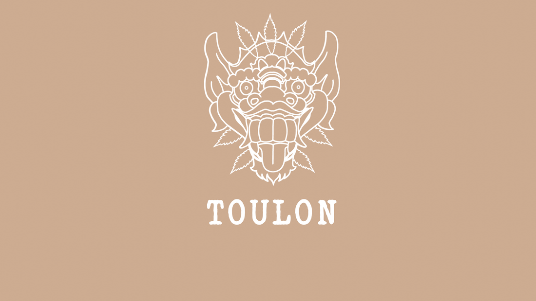 Magasin CBD Shop Boutique à Toulon 83000 dans le Var Livraison CBD pas Cher