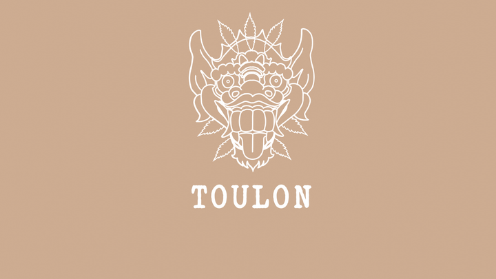 Magasin CBD Shop Boutique à Toulon 83000 dans le Var Livraison CBD pas Cher