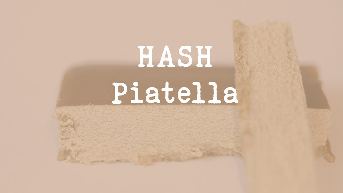 Tout savoir sur le hash Piatella