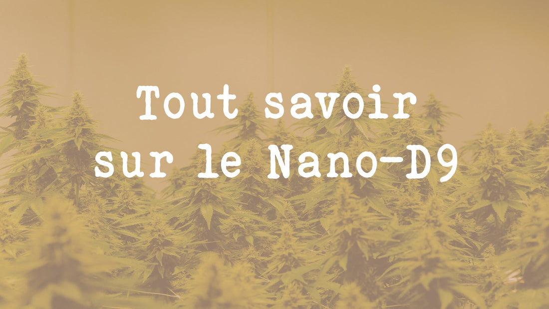  Tout savoir sur le Nano D9 