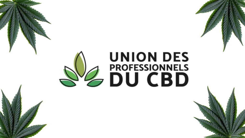 Barong rejoint l'union des Professionnels du CBD