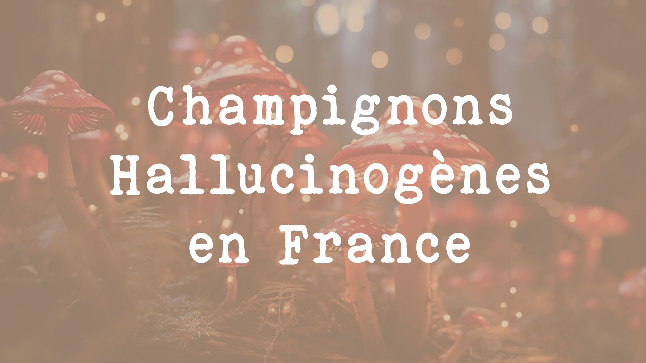 Sitemapcdatahttpsshopinf Inetcomkit Champignon Hallucinogene