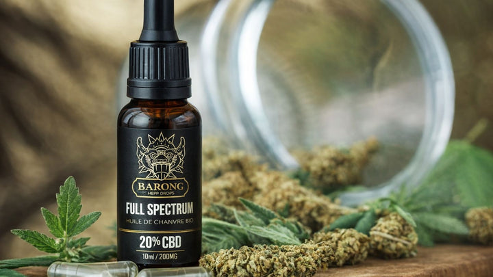 Comment bien utiliser l’huile de CBD