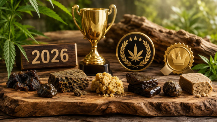 Les Meilleurs Hash CBD en 2026