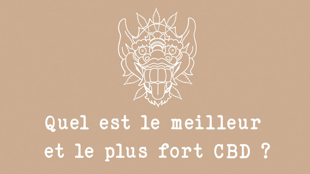 Quel est le meilleur et plus fort CBD ? Quelle est la meilleure fleur de CBD ?