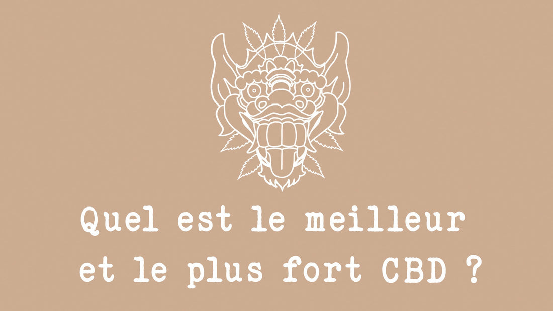 Quel est le meilleur et plus fort CBD ? Quelle est la meilleure fleur de CBD ?