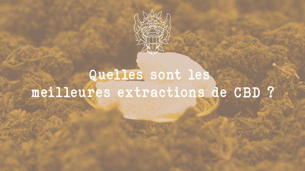 Quelles sont les meilleures extractions CBD cannabis BHO Crumble Shatter isolate et rosin Wax cbd