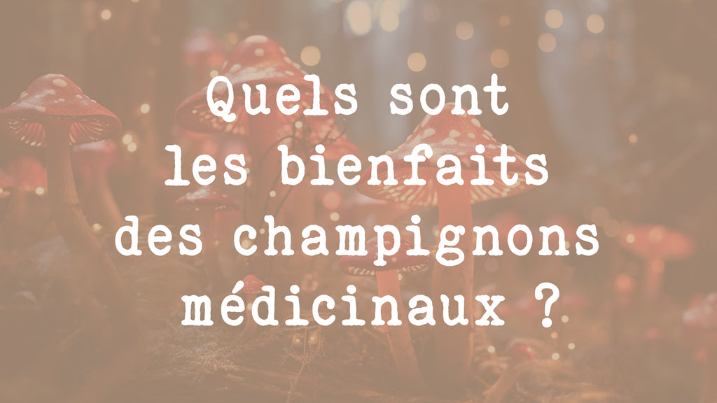 Quels sont les bienfaits des champignons médicinaux ? Cordyceps - Lion's Mane - Shiitake - Turkey Tail