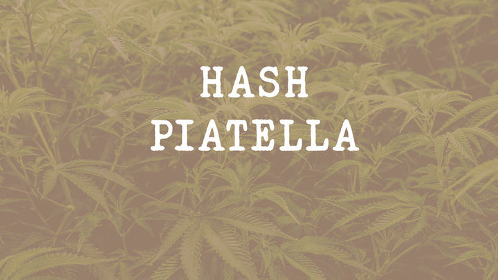 Tout savoir sur le hash Piatella