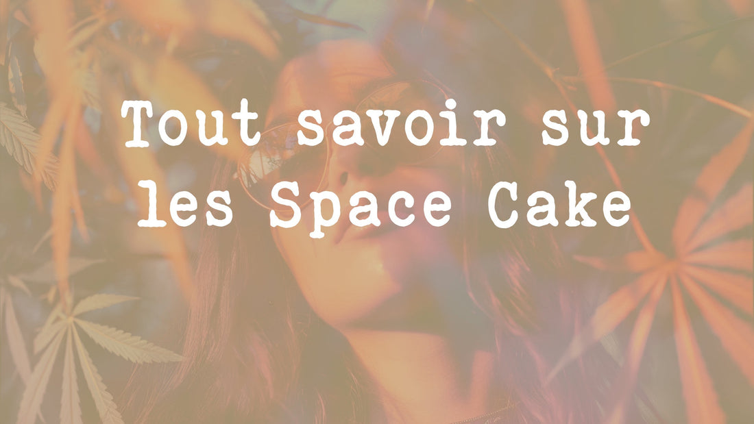 Tout savoir sur le Space Cake au Cannabis