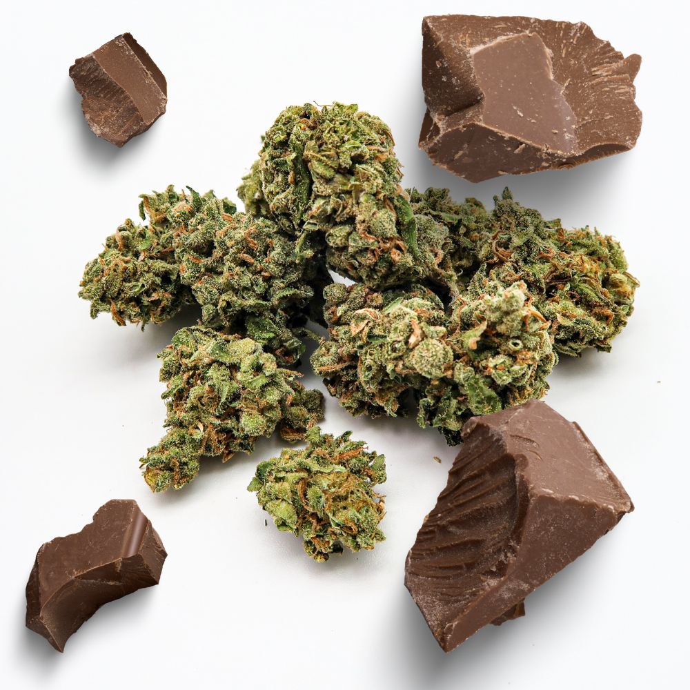 Chocolat THC