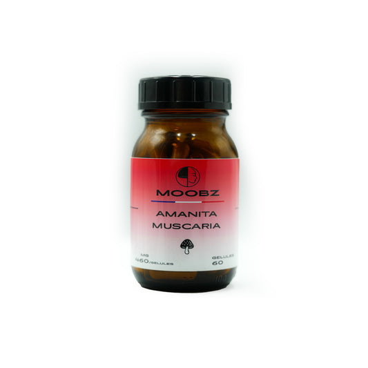 Gélules Amanita Muscaria – 60 gélules de 460 mg