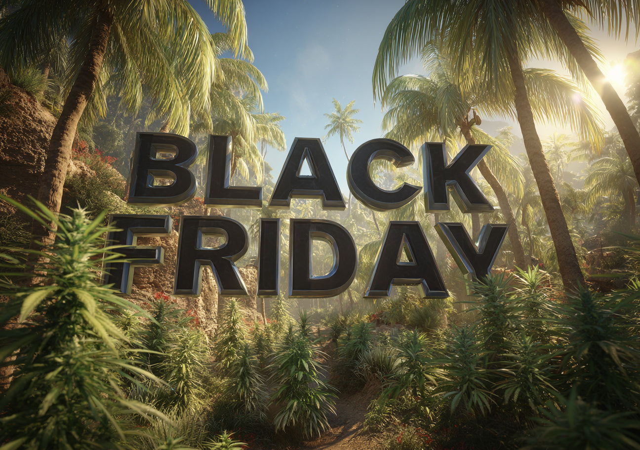 Black Friday CBD THC 