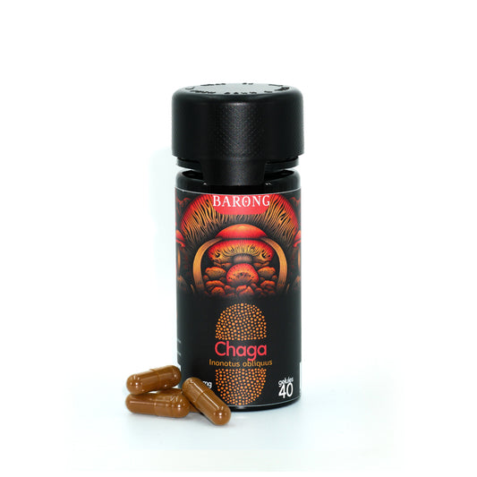 Champignon-Adaptogene---Complement-Alimentaire---Chaga