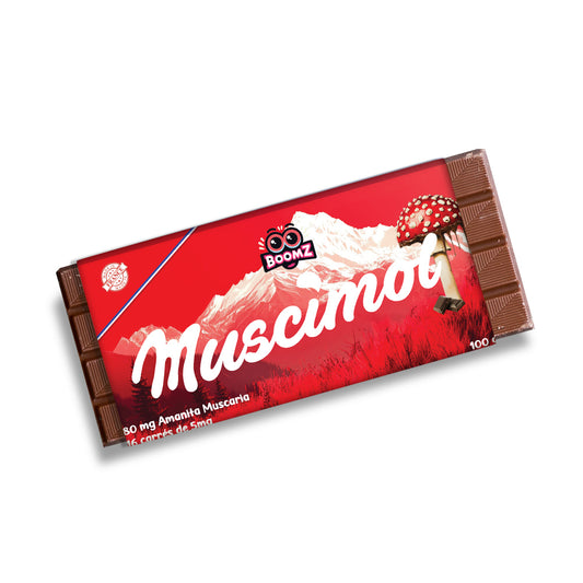 🍫 Magic Chocolat Muscimol 🍄
