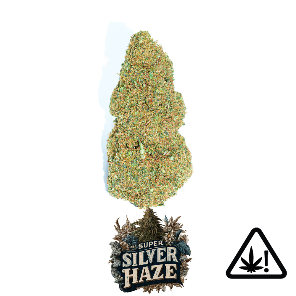 Fleur HCE - Super Silver Haze 20% 🪩🥈⚡