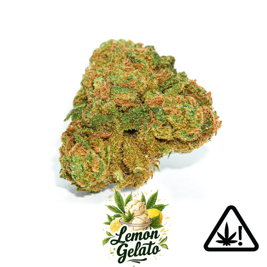Fleur CBD Lemon Gelato HCE - 20 % HCE | Barong CBD Shop