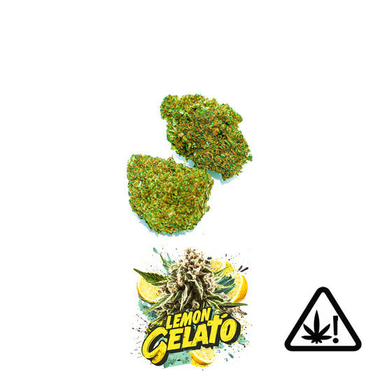 Lemon Gelato HCE 30% - Medium Bud | Fleur HCE premium citronnée et gourmande