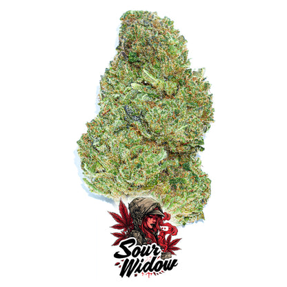Sour Widow CBD 🍋🌲
