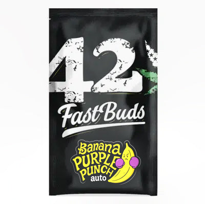 Graine Banana Purple Punch Auto – FastBuds seed cannabis