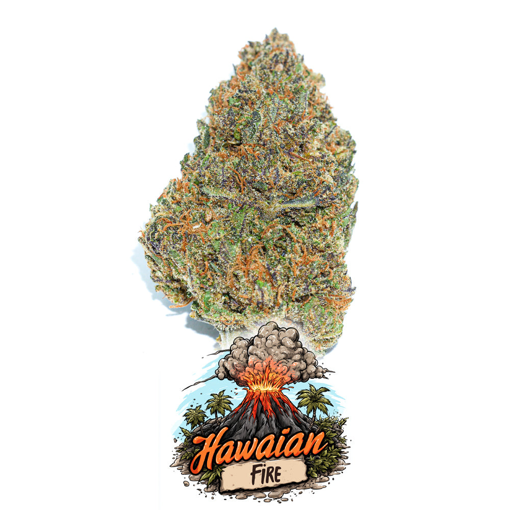 Fleur de CBD Hawaiian Fire