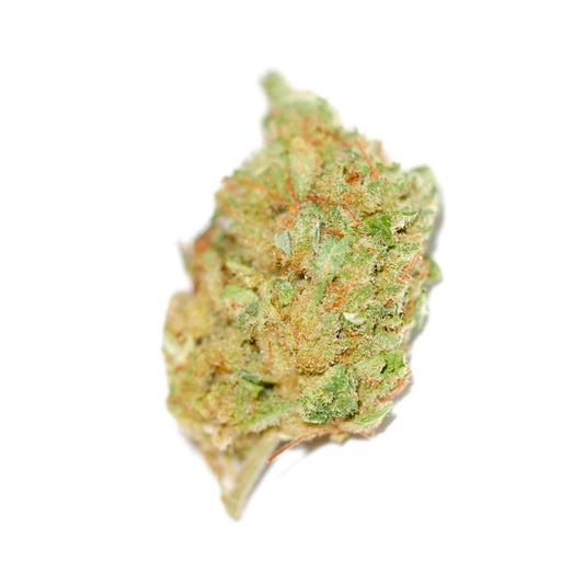 Weed Moby Dick - Cannabis - THC - HHC - THCP - Delta9 - Delta8 - Barong CBD Shop - RAF