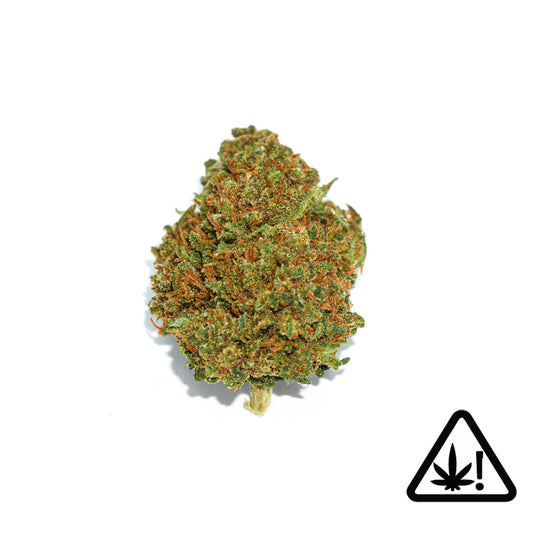 Pink Panther - Fleur nano-D9 nano THC delta-9