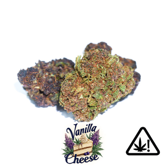 Fleur Vanilla Cheese - HCE - HHC - RAF - Revuelto - Cannabinoide puissant