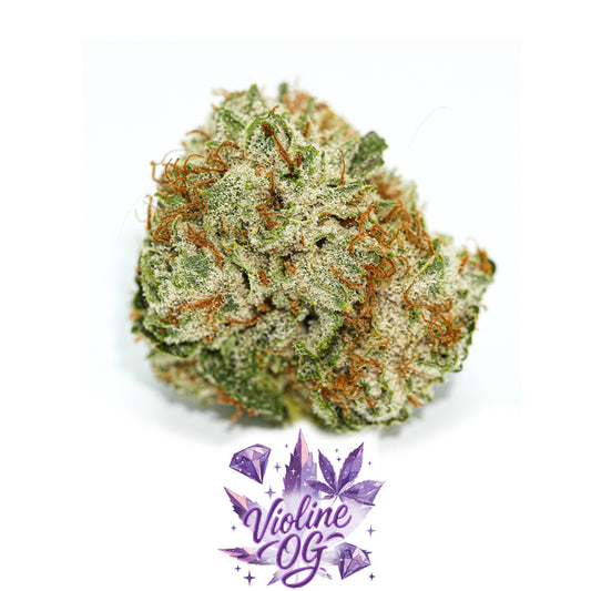 We Need - WeNeed CBD - Cannabis Cup - Violine OG - El Camino 