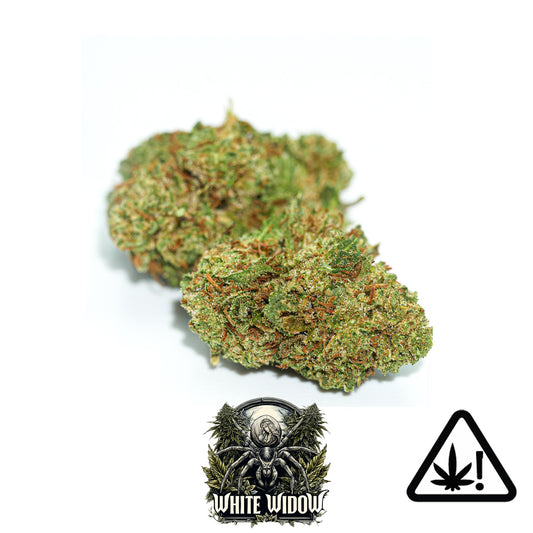 Fleur White Widow - CBD Puissant - HHC - HCE - RAF - Revuelto - BZ10 - NL1 - Cannabinoïdes