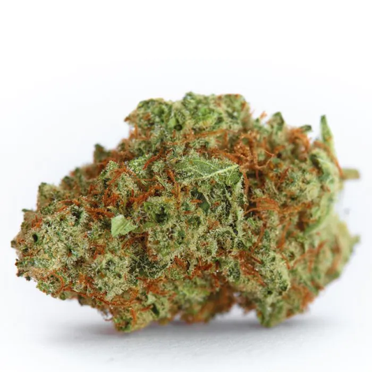 Monsterbud Autofloraison – Growers Choice