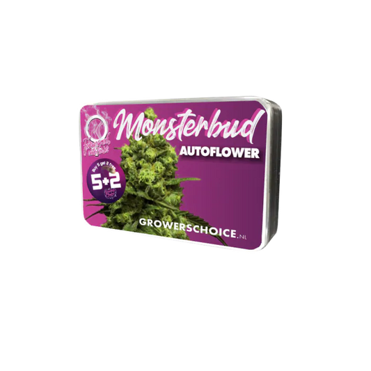 Monsterbud Autofloraison – Growers Choice