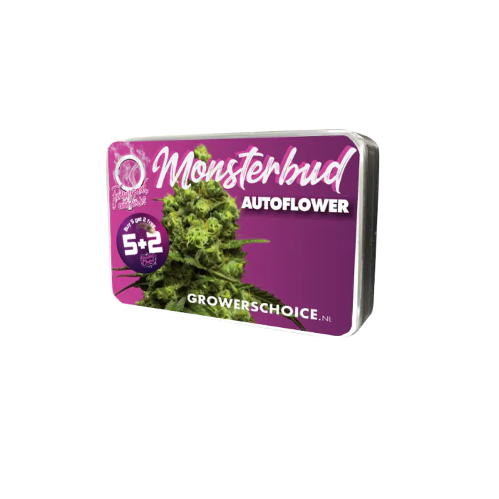 Monsterbud Autofloraison – Growers Choice