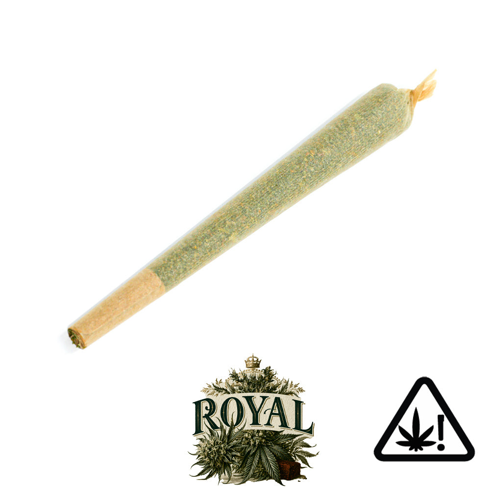 Pré-Roll - Royal HCE ( fleur + hash )