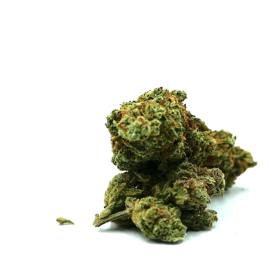 Moby Dick Fleur CBD - Barong CBD Shop - CBDpasCHer - meilleur CBD à fumer - CBD fumer - CBD tabac