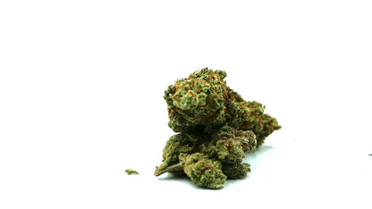 Moby Dick Fleur CBD - Barong CBD Shop - CBDpasCHer - meilleur CBD à fumer - CBD fumer - CBD tabac