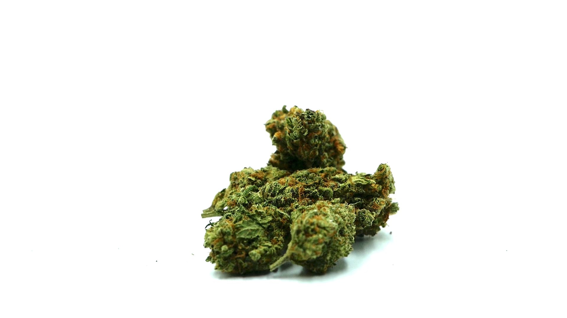 OG-KUSH - OG kush - Fleur CBD - Fleurs CBD - Barong-CBD-Shop