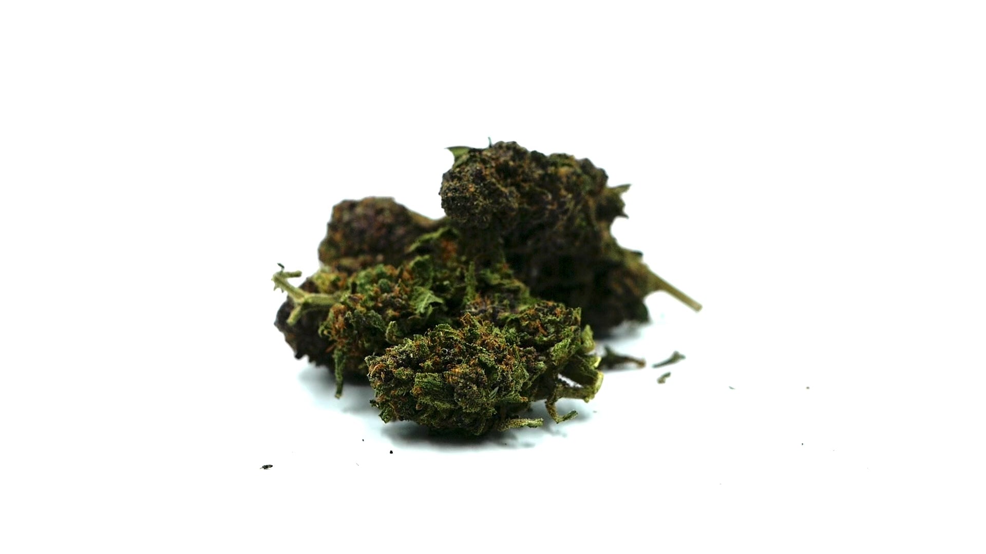 PURPLE HAZE -Fleur CBD Purple Haze - Barong CBD Shop
