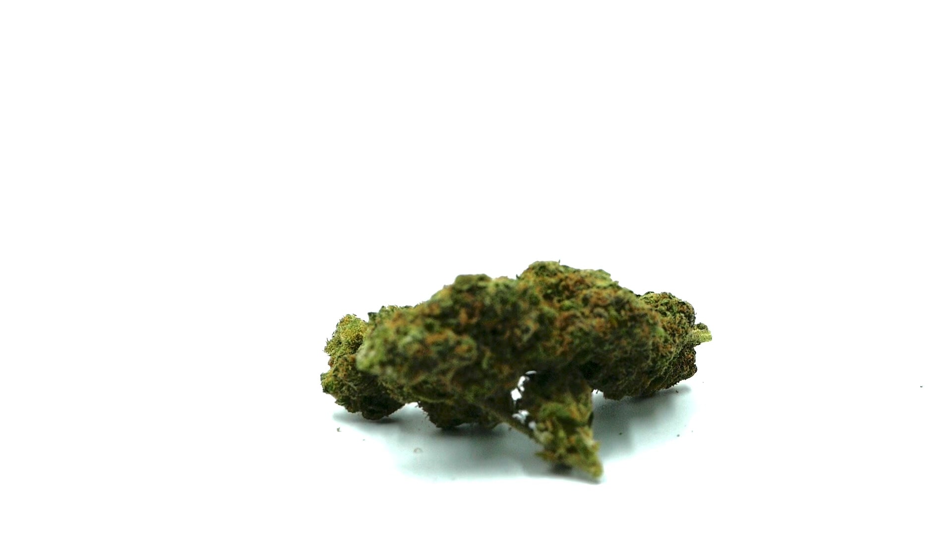 CANDY-KUSH-Fleurs-CBD-fleur-Barong-CBD-Shop-meilleur CBD à fumer