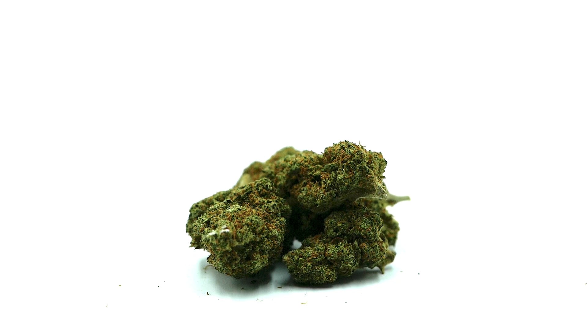 BLUEBERRY-Fleurs-CBD-Cannabidiol-Cannabis-Graines-Barong-cbd-Shop-BarongCBDshop