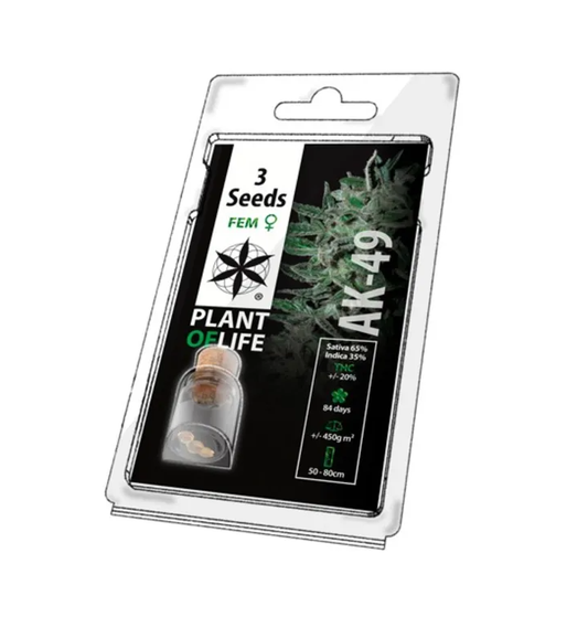Graine de cannabis AK 49 - AK49