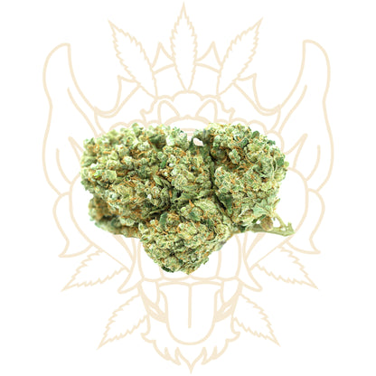 Cannabis Harlequin CBD Cannabidiol - Fleurs de CBD Cannabis Chanvre Harlequin - CBD PREMIUM - Barong CBD Shop - CBD Shop Cannabis France 