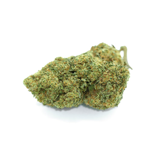 Cannabis Jungle Cheese CBD - Fleur de cannabis - Jungle Cheese Sativa -  Barong CBD Shop
