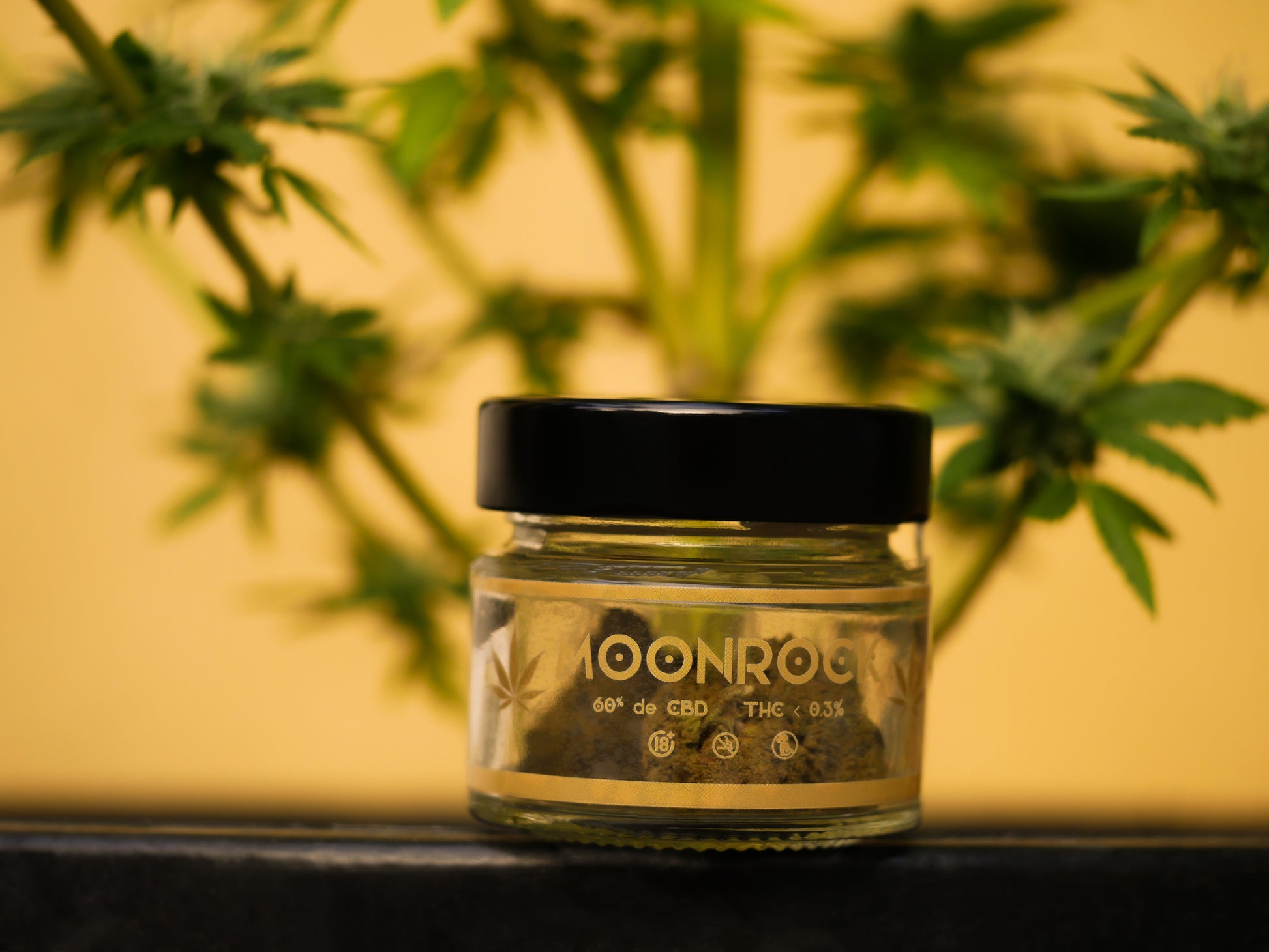 Achat Moonrock CBD - Moonrock Weed - Moonrock Beuh - Avis Moonrock CBD - Achat Moonrock HHC - Fleurs CBD le plus fort